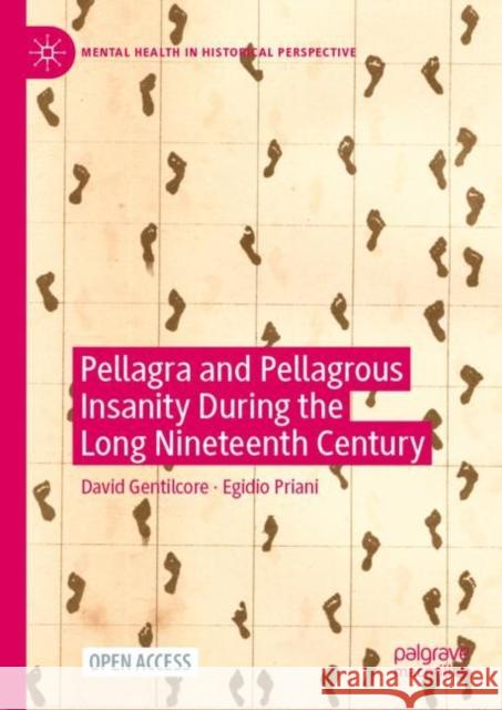 Pellagra and Pellagrous Insanity During the Long Nineteenth Century Gentilcore, David 9783031224959