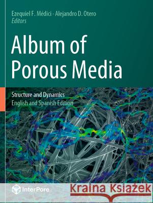 Album of Porous Media: Structure and Dynamics Ezequiel F. M?dici Alejandro D. Otero 9783031238024 Springer