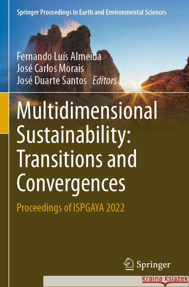 Multidimensional Sustainability: Transitions and Convergences  9783031248948 Springer