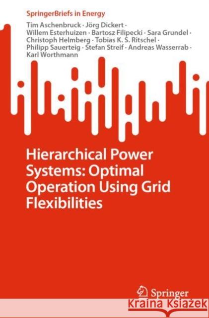 Hierarchical Power Systems: Optimal Operation Using Grid Flexibilities Philipp Sauerteig Tim Aschenbruck J?rg Dickert 9783031256981 Springer