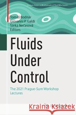 Fluids Under Control: The 2021 Prague-Sum Workshop Lectures Tom?s Bodn?r Giovanni P. Galdi S?rka Nečasov? 9783031276248