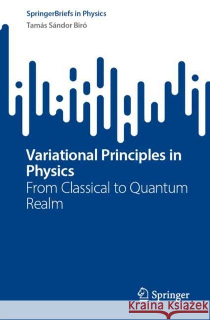 Variational Principles in Physics: From Classical to Quantum Realm Tam?s S?ndor Bir? 9783031278754 Springer