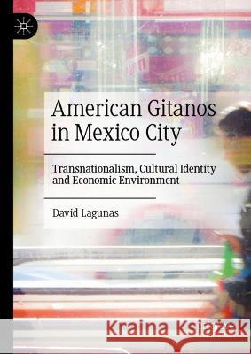 American Gitanos in Mexico City: Transnationalism, Cultural Identity and Economic Environment David Lagunas 9783031279966 Palgrave MacMillan