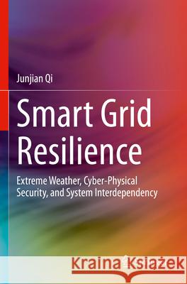 Smart Grid Resilience Junjian Qi 9783031292927 Springer International Publishing