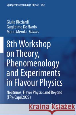8th Workshop on Theory, Phenomenology and Experiments in Flavour Physics  9783031304613 Springer International Publishing