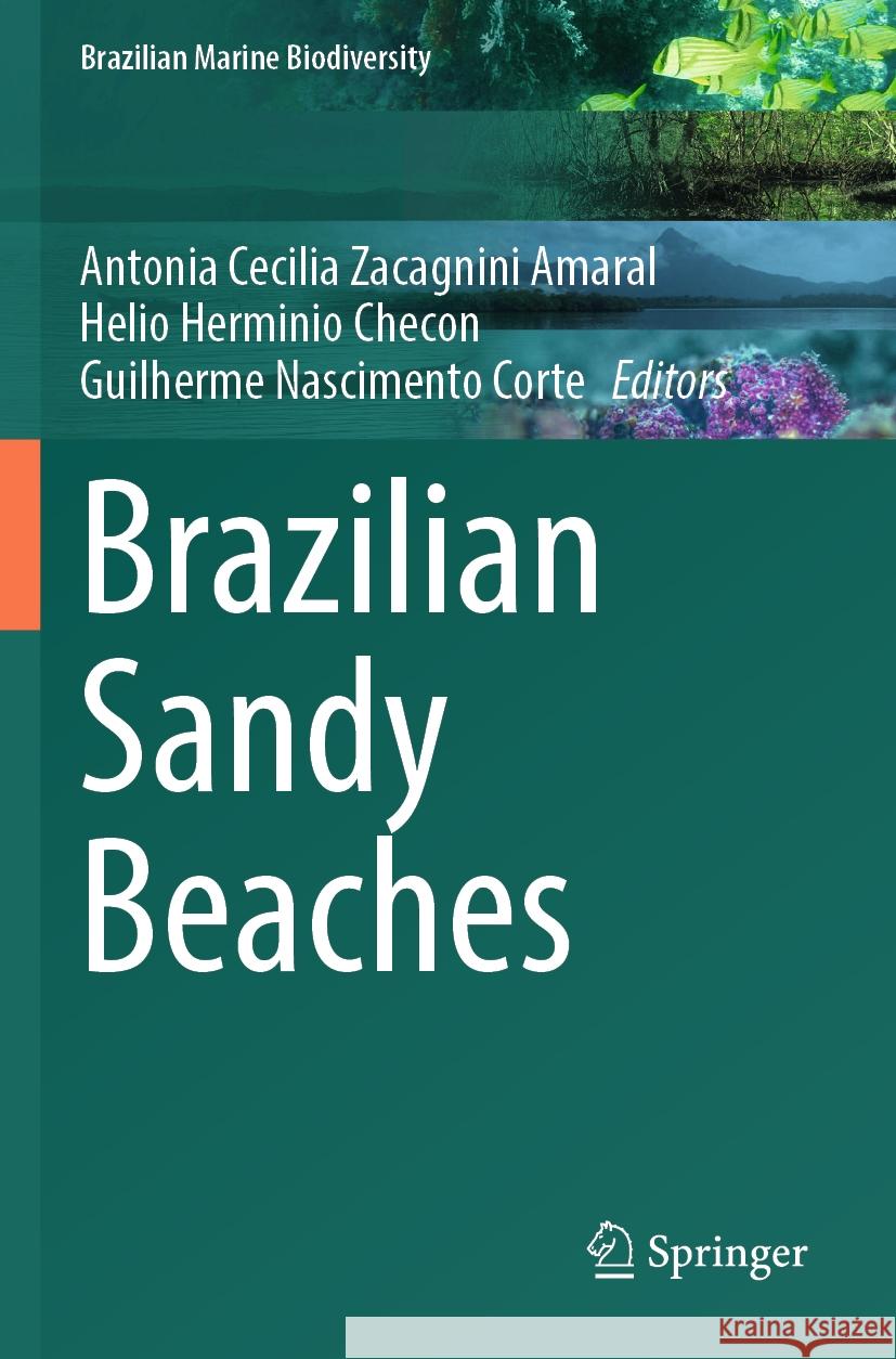 Brazilian Sandy Beaches  9783031307485 Springer International Publishing