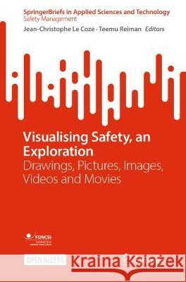 Visualising Safety, an Exploration  9783031337857 Springer International Publishing
