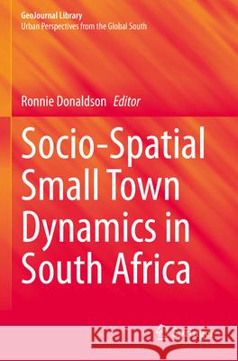 Socio-Spatial Small Town Dynamics in South Africa  9783031371448 Springer Nature Switzerland