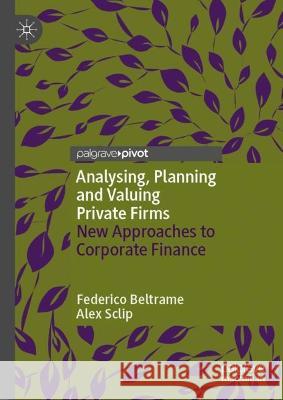 Analysing, Planning and Valuing Private Firms Beltrame, Federico, Alex Sclip 9783031380884