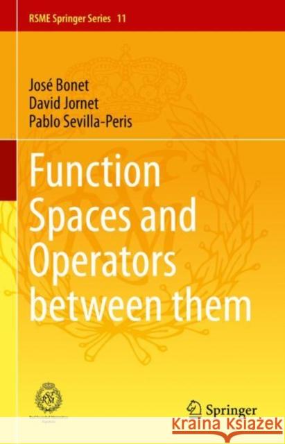 Function Spaces and Operators between them Pablo Sevilla-Peris 9783031416019 Springer Nature Switzerland