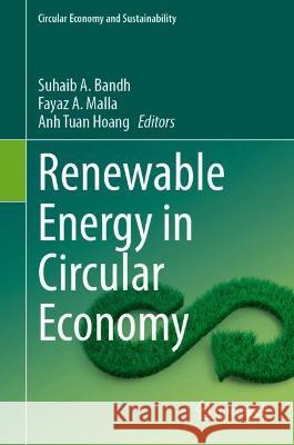 Renewable Energy in Circular Economy  9783031422195 Springer International Publishing