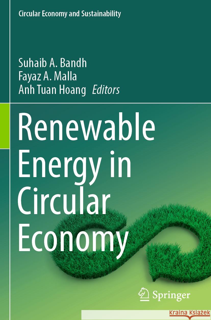 Renewable Energy in Circular Economy  9783031422225 Springer International Publishing