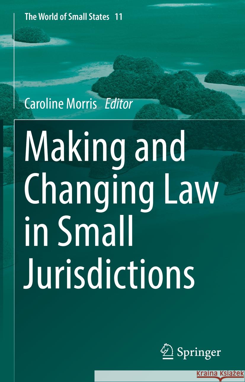 Making and Changing Law in Small Jurisdictions Caroline Morris 9783031469428 Springer