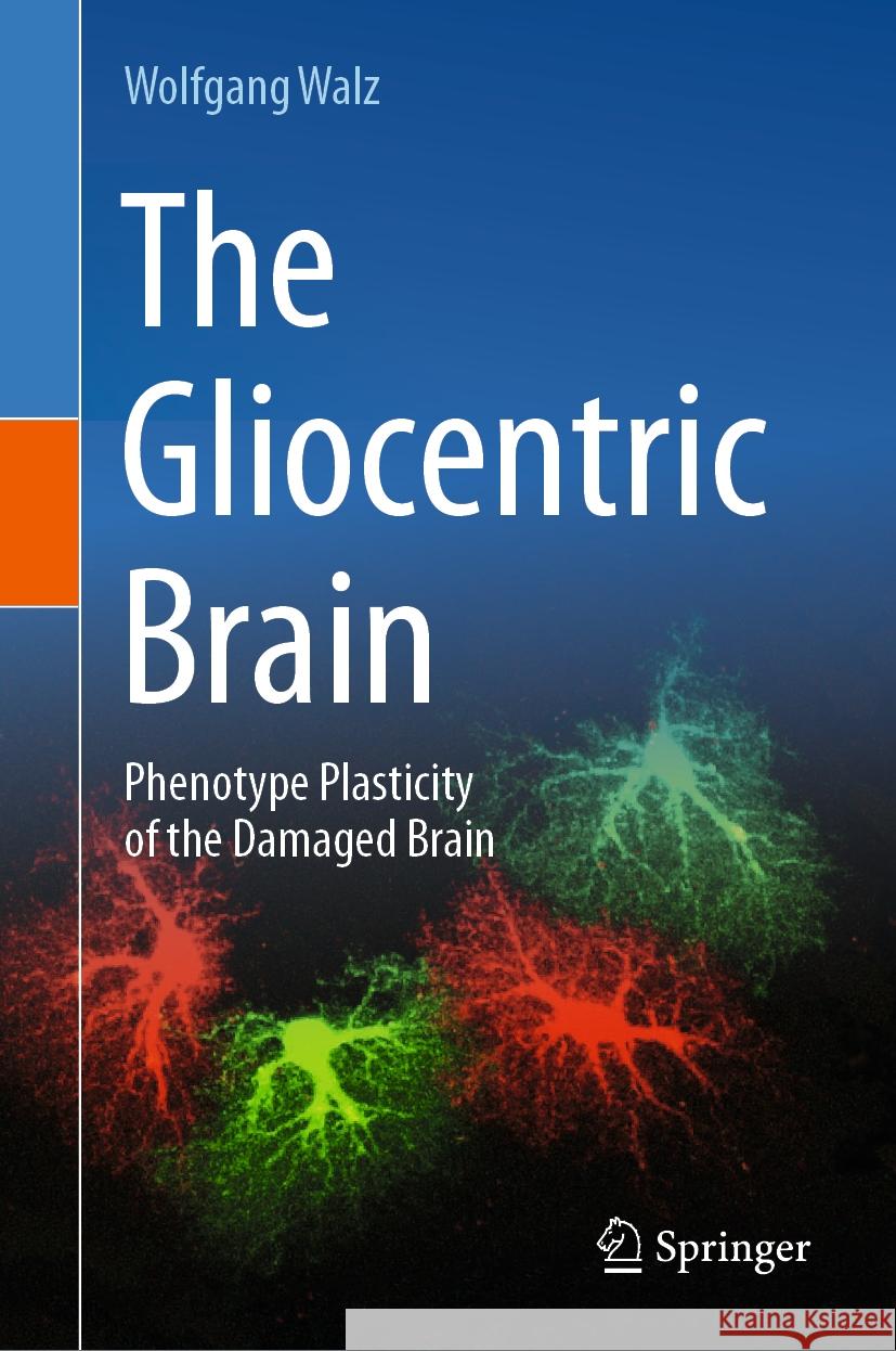 The Gliocentric Brain: Phenotype Plasticity of the Damaged Brain Wolfgang Walz 9783031481048