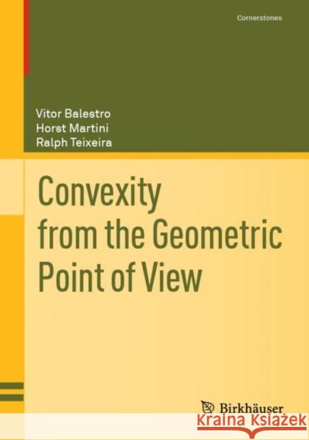 Convexity from the Geometric Point of View Ralph Teixeira 9783031505065 Birkhauser Verlag AG