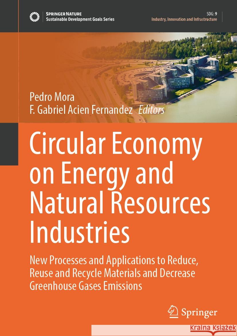 Circular Economy on Energy and Natural Resources Industries: New Processes and Applications to Reduce, Reuse and Recycle Materials and Decrease Greenh Pedro Mora F. Gabriel Acie 9783031562839 Springer