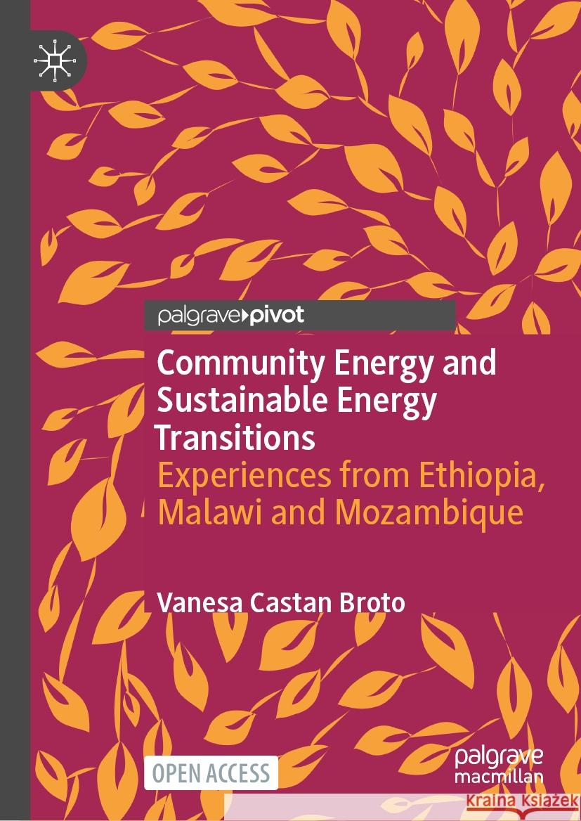 Community Energy and Sustainable Energy Transitions: Experiences from Ethiopia, Malawi and Mozambique Vanesa Casta 9783031579370