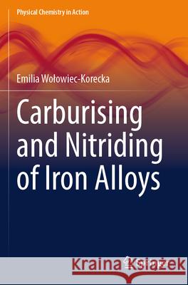 Carburising and Nitriding of Iron Alloys Emilia Wołowiec-Korecka 9783031598647 Springer Nature Switzerland