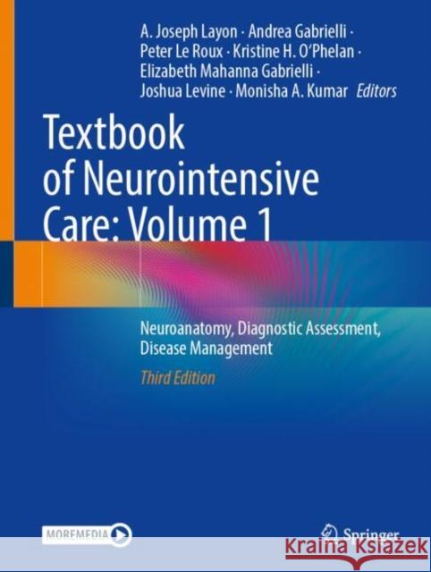 Textbook of Neurointensive Care: Volume 1: Neuroanatomy, Diagnostic Assessment, Disease Management A. Joseph Layon Andrea Gabrielli Peter L 9783031622199 Springer