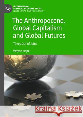 The Anthropocene, Global Capitalism and Global Futures: Times Out of Joint Wayne Hope 9783031635991 Palgrave MacMillan