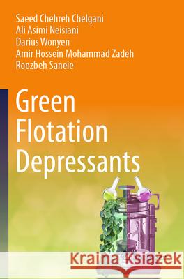 Green Flotation Depressants Saeed Chehre Ali Asimi Neisiani Darius Wonyen 9783031661105 Springer