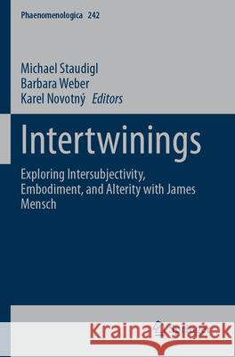 Intertwinings  9783031687037 Springer