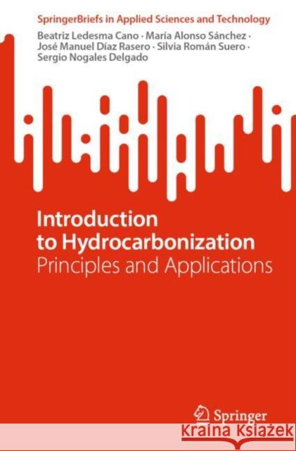 Introduction to Hydrocarbonization: Principles and Applications Beatriz Ledesm Mar?a Alons Jos? Manuel D?a 9783031700385 Springer