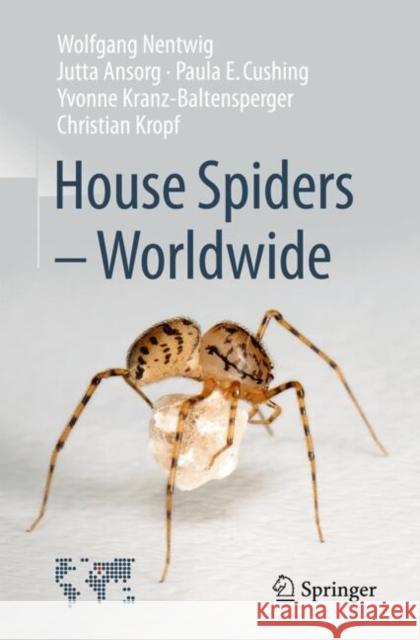 House Spiders - Worldwide Wolfgang Nentwig Jutta Ansorg Paula E. Cushing 9783031704475 Springer