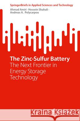 The Zinc-Sulfur Battery: The Next Frontier in Energy Storage Technology Ahmad Amiri Hossein Shahali Andreas A. Polycarpou 9783031714900 Springer