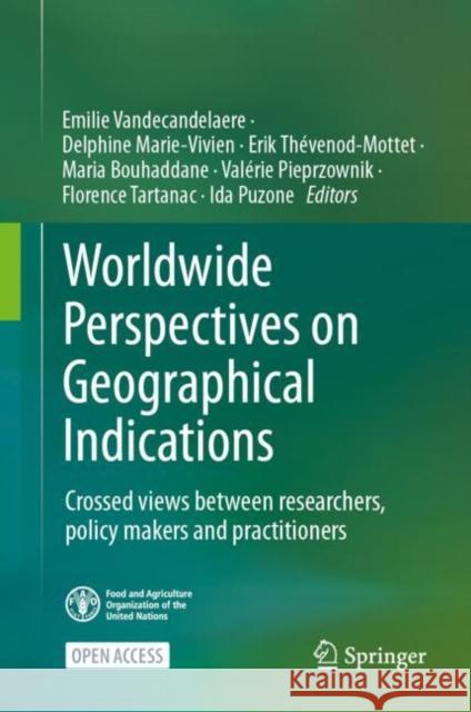 Global Perspectives on Geographical Indications: Crossed Views Between Researchers, Policy Makers and Practitioners Emilie Vandecandelaere Delphine Marie-Vivien Erik Th?venot-Mottet 9783031716409 Springer