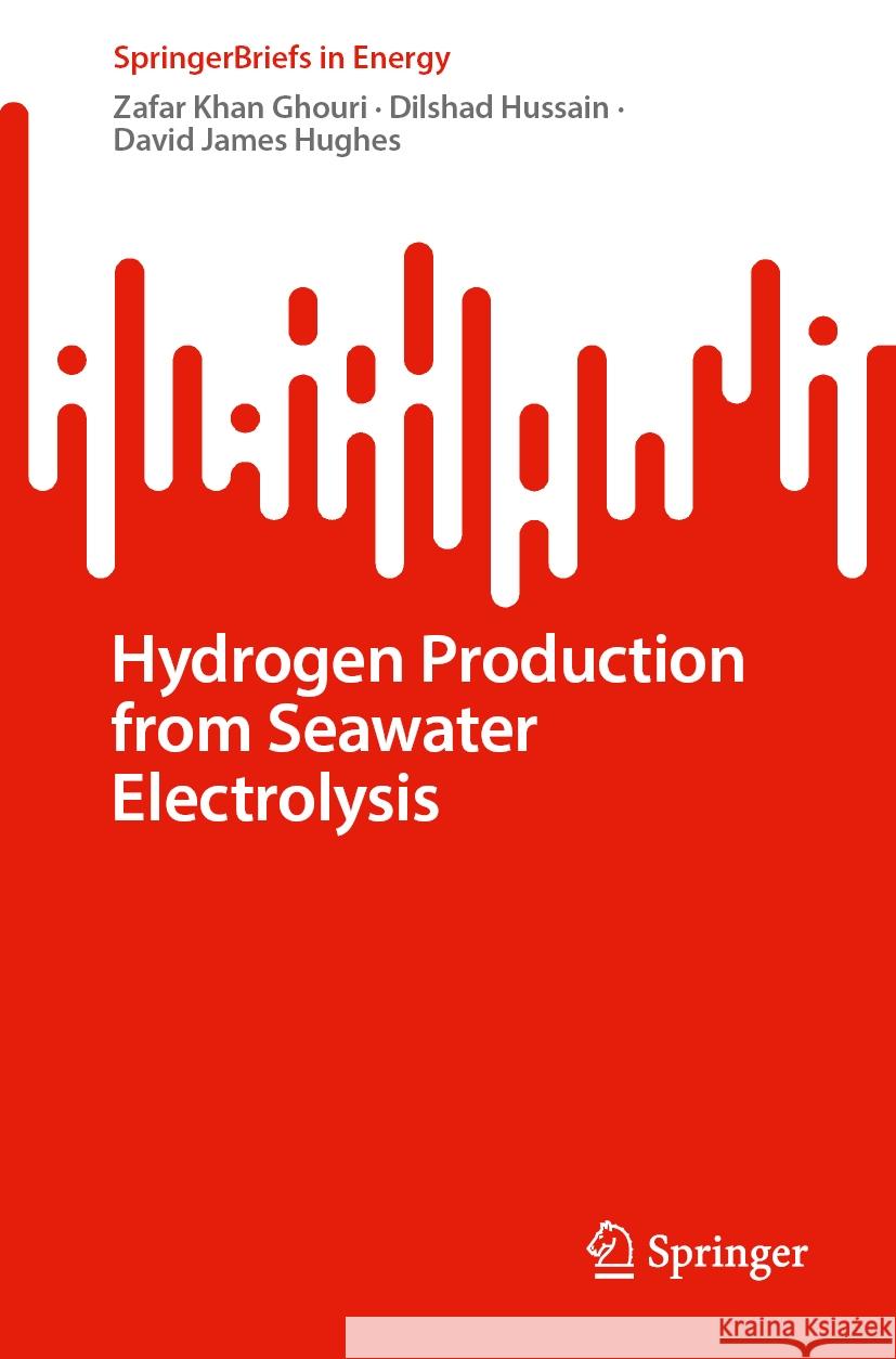 Hydrogen Production from Seawater Electrolysis Zafar Khan Ghouri Dilshad Hussain David James Hughes 9783031734410 Springer