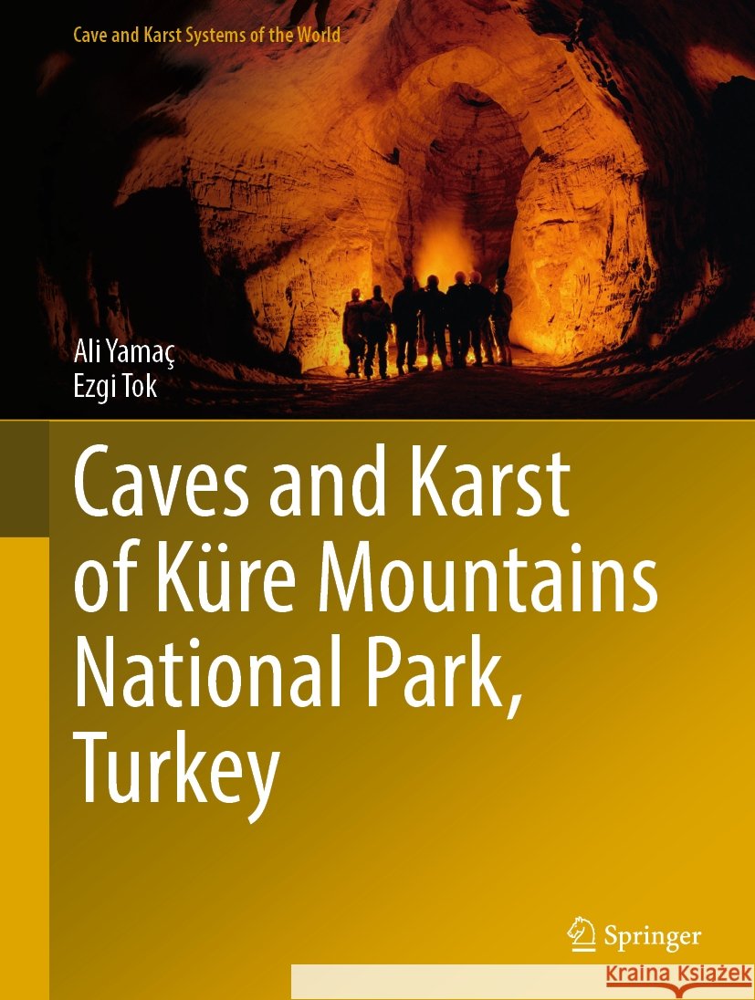 Caves and Karst of K?re Mountains National Park, Turkey Ali Yama? Ezgi Tok 9783031801419 Springer