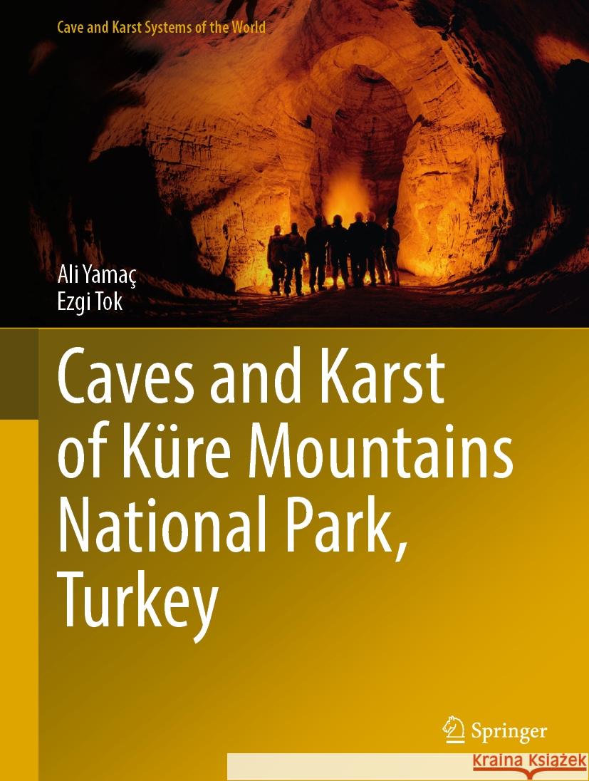 Caves and Karst of K?re Mountains National Park, Turkey Ali Yama? Ezgi Tok 9783031801419 Springer