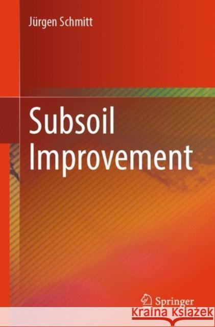 Subsoil Improvement Jurgen Schmitt 9783031897481