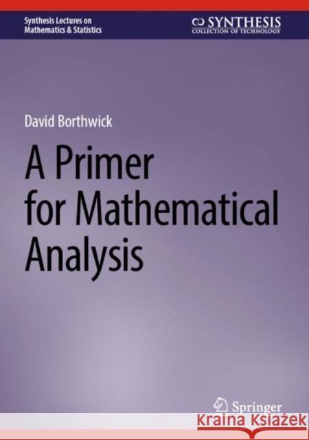 A Primer for Mathematical Analysis David Borthwick 9783031917127 Springer