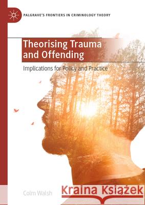 Theorising Trauma and Offending: Implications for Policy and Practice Colm Walsh 9783031994135 Palgrave MacMillan