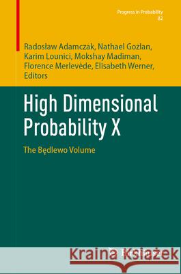 High Dimensional Probability X: The Będlewo Volume Radoslaw Adamczak Nathael Gozlan Karim Lounici 9783032060563 Birkhauser