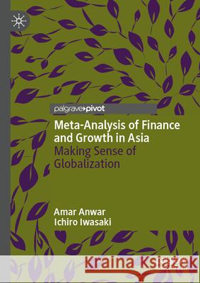 Meta-Analysis of Finance and Growth in Asia: Making Sense of Globalization Amar Anwar Ichiro Iwasaki 9783032102188 Palgrave MacMillan