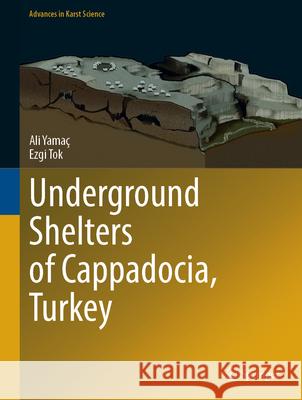 Underground Shelters of Cappadocia, Turkey Ali Yama? Ezgi Tok 9783032160942 Springer