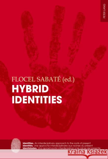 Hybrid Identities Flocel Sabate   9783034314718