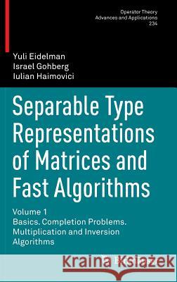 Separable Type Representations of Matrices and Fast Algorithms: Volume 1 Basics. Completion Problems. Multiplication and Inversion Algorithms Eidelman, Yuli 9783034806053