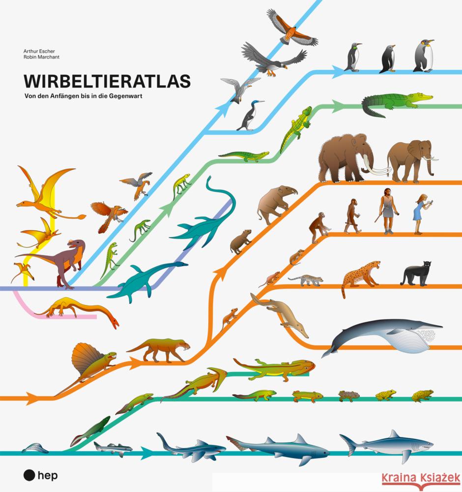 Wirbeltieratlas Escher, Arthur, Marchant, Robin 9783035524024