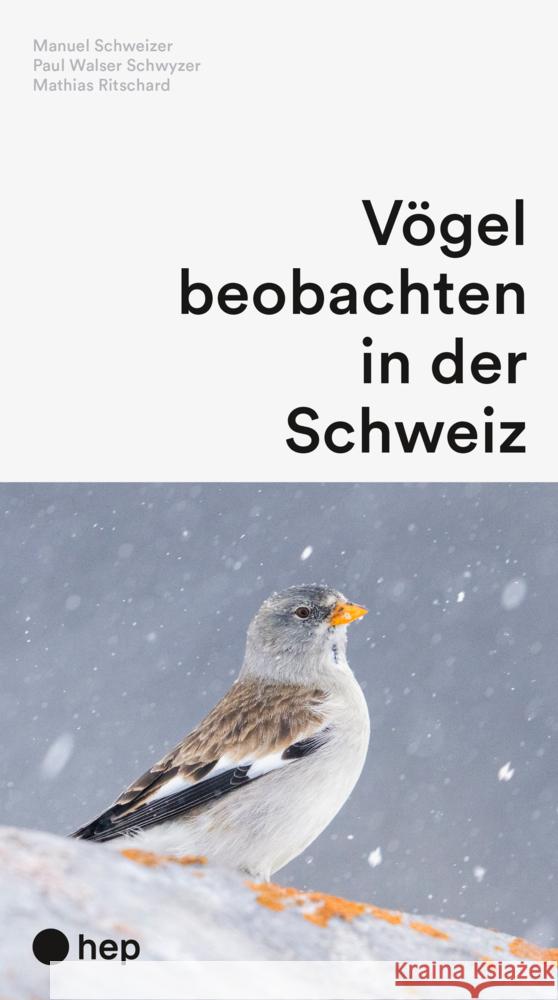 Vögel beobachten in der Schweiz Schweizer, Manuel, Walser Schwyzer, Paul, Ritschard, Mathias 9783035526288 hep Verlag