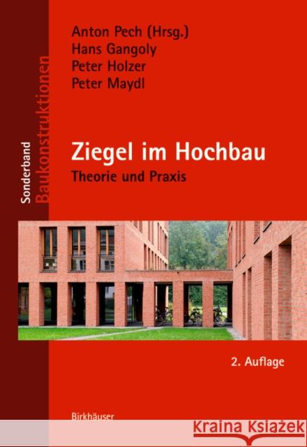 Ziegel im Hochbau : Theorie und Praxis Anton Pech 9783035616156