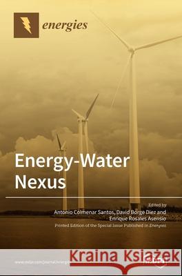 Energy-Water Nexus Antonio Colmenar Santos David Borge Diez Enrique Asensio 9783036500843 Mdpi AG
