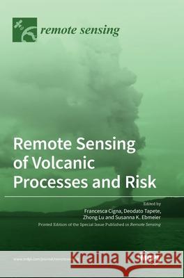 Remote Sensing of Volcanic Processes and Risk Francesca Cigna Deodato Tapete Zhong Lu 9783036501260 Mdpi AG