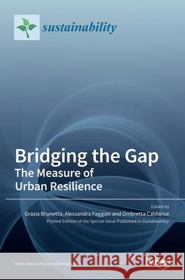 Bridging the Gap: The Measure of Urban Resilience Grazia Brunetta Alessandra Faggian Ombretta Caldarice 9783036507668