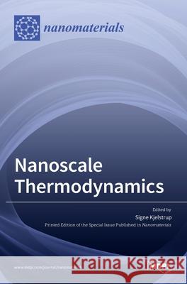 Nanoscale Thermodynamics Signe Kjelstrup 9783036511689