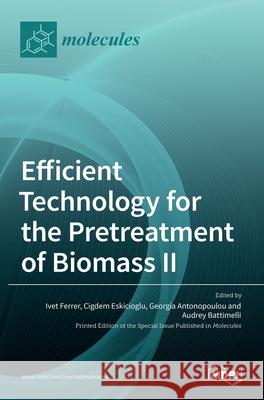 Efficient Technology for the Pretreatment of Biomass II Ivet Ferrer Cigdem Eskicioglu Georgia Antonopoulou 9783036517940