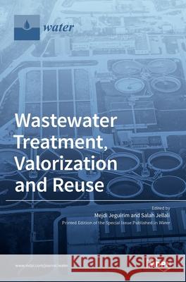 Wastewater Treatment, Valorization and Reuse Salah Jellali Mejdi Jeguirim 9783036519265 Mdpi AG